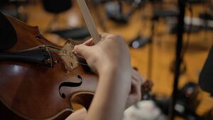 "New Synchron Solo Violin 2 & Viola Sordino Just Landed: Are They Worth Your Studio Upgrade?"